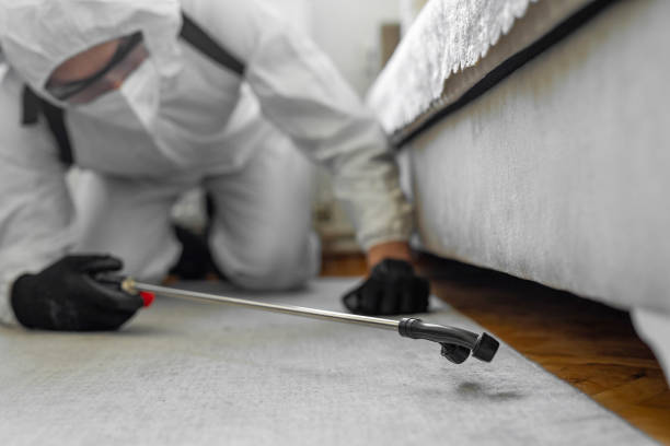 Professional Bed Bug Control technician working in Russell County County, KS
